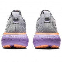 Кросівки для бігу жіночі Asics GEL-NIMBUS 25 Piedmont grey/Pure silver